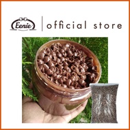 ☪ ◸ ◰ Mini Koko Krunch Chocolate Mini Rainbow Crunch White Crunch Coco Crunch Halal 1KG 500G