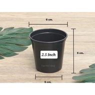 [Pot] Thailand Special Big Holes Plastic Pot