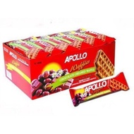 Apollo Chocolate Creamed Waffle [18gx36pcs]