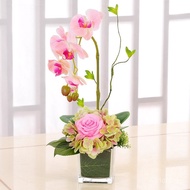 Phalaenopsis Orkid Seni Pasu Kaca Hiasan Hiasan Rumah Ruang Tamu Dalaman Meja Makan Meja Kopi Gubaha