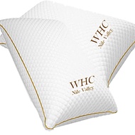 1500g. 1700g, 2000g 5 Star Hotel Egyptian Down Alt Pillow for Good Night Sleep