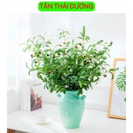 Fake branches - Olive branches, high quality fake lemon leaf branches - Silk fabric - Home decoratio