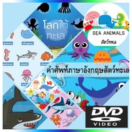 DVD เรียนรู้คำศัพท์ภาษาอังกฤษเกี่ยวกับสัตว์ทะเล Sea animal สื่อการเรียนการสอนสำหรับเด็ก ดีวีดี ภาพ เ