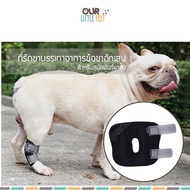 Leg Wrap Soft Splint For Short Dogs