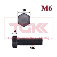 Bolt 8.8 M6 (40-80mm)