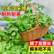 Leaf Artemisia Seeds Artemisia Seeds Emperor Vegetables Autumn Winter Winter Seeds Vegetables Artemi
