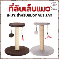 Cat Scratcher Condo Small Toys