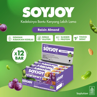 SOYJOY Snack Bar Kedelai Raisin Almond Box 12x30gr