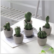 Nordic Cactus Potted Green Plant Living Room Home Decoration Turtle Leaf Cactus Fake Flower Simulati