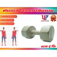 Dumbbell Weightlifting Exercise 4 Kg Delivery