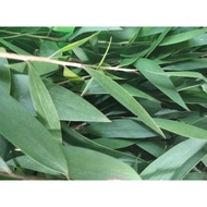 Eucalyptus leaves 100gr