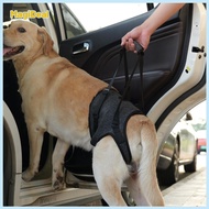 Dog Lift Support Harness for Back Legs Mobility Aid Sturdy Adjustable Dog Handicap Harness Hind Leg 
