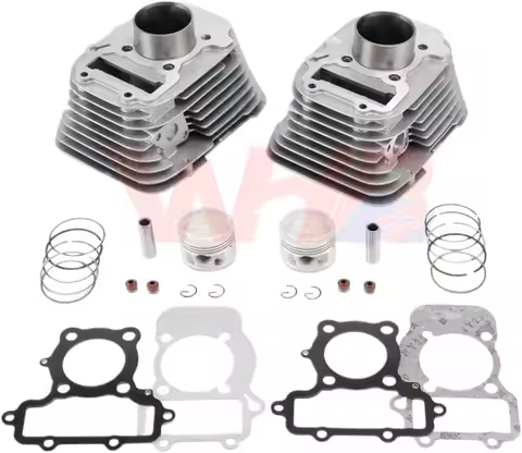49mm Engine Cylinder Kit Motor for Yamaha Virago XV250 V Star 250 Route 66 Qianjiang QJ250-H QJ250-L