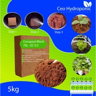 Cocopeat Block 5kg /Bongkah Sabut Kelapa/Cocoblock /coco peat/coco coir/coconut coir/crushed coconut