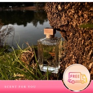 SCENT FOR YOU | (แบ่งขาย) Amyris Homme EDT️ หอมสุดๆ Woody Citrus Aromatic แท้จากช้อปไทย!