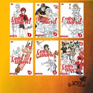 Manga Cells at Work Comic! (Cabund/Retail)