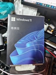 Windows 11 Pro 專業版 繁體中文版 盒裝 USB