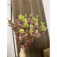 3d apple branches 16 branches, point grass, decorative apple branches, decorative apple branches