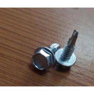Self drilling screw Ds516ho zp 10x5/8" DSM