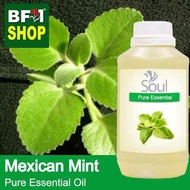 Pure Essential Oil (EO) - Mint - Mexican Mint ( Plectranthus Socotranum ) Essential Oil - 500ml