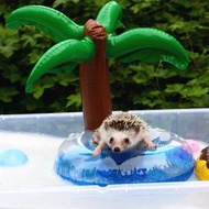 刺蝟/倉鼠 小動物玩具 游泳圈 洗澡圈 1入 (可愛椰樹)
