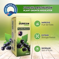 Forchlorfenuron 0.1% (30ml) / KT-30 / CPPU / Cytokinin / Plant growth regulator / Hormon tumbesaran 