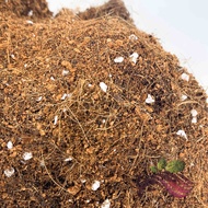 [Substrate] Money Soil by LS group