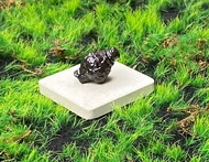 能量擺飾-精選天然埃及預言石造型原礦 心靈平靜石 快速出貨