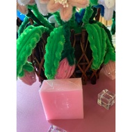 Aura Beauty cleanser soap