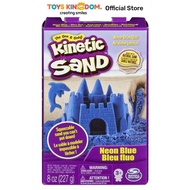 KINETIC SAND TOY SAND BOX 8 OZ RANDOM
