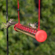 Wild Bird Feeder Gazebo Hummingbird Birdfeeder Garden Yard Outside Decoration