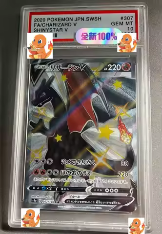 Charizard Vmax PTCG Graded Collection Cards S6a Eevee Heroes GEM MT10Points Version Holographic Labe