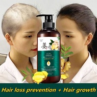 Shampoo Rambut Gugur Hair Growth Prevents Hair Loss Shampoo Thick Ginger Anti Dandruff Smooth Contro