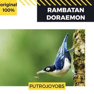 REMBETAN RAMBATAN DORAEMON BAHAN MASTERAN