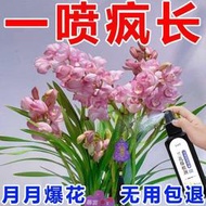 【有機肥】【花肥】【開花猛】蘭花慧蘭營養液 拯救黃葉爆芽促開花促綠壯根專用肥