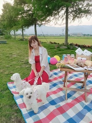 【柚木折疊方桌】實木折疊桌 野餐 露營