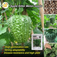 Fresh Rare Round Green Bitter Gourd Seeds for Planting (5pcs/pack) High Yield Balsam Pear Seed Apple