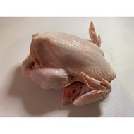 Fresh Whole Chicken