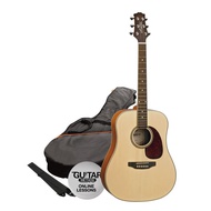Ashton D25NT Dreadnought Acoustic Guitar Natural