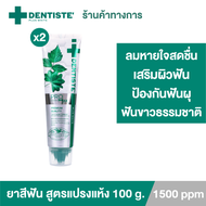 (แพ็ค 2) Dentiste’ Pro Max Fluoride 1500 ppm Toothpaste 100g. ยาสีฟันสูตรแปรงแห้ง เสริมผิวฟันแข็งแรง