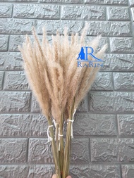 Rarin ดอกไม้แห้ง (โทน สีธรรมชาติ ) พร้อมส่งในไทย  ส่งไว สินค้า ตรงปก