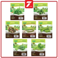Baba Smart Grow Seed, Grow Fresh, Grow Healthy