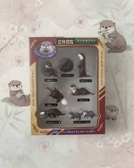 亞洲小爪水獺立體圖鑑