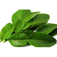 Kaffir lime leaves Per pack / Fresh lime leaves / fresh kaffir lime leaves