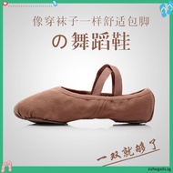 Ballet Shoes Adult Canvas Dance Shoes Women Sneakers