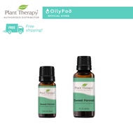 Plant Therapy Fennel Sweet Essential Oil