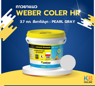 Weber color HR เวเบอร์ คัลเลอร์ เอช อาร์ | กาวยาแนวสระว่ายน้ำ สปา และซาวน่า | ขนาด 3.7 กก. | ขนาด 18