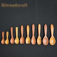 L - Various Mini Spice Spoons - Salt Spoons, Sambal Ice Cream Biwood ||
