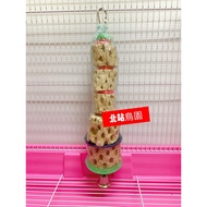 < North Station Bird Park > Amigo Amigo/Pali Polly's/Fun Cactus (Medium)