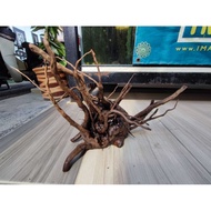 Root Wood Kayu Aquarium Driftwood Aquascape Decoration (XL Size)